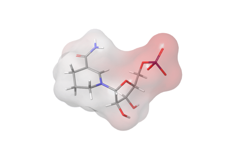 La vitamina B3 y el NMN como materias primas de NAD+